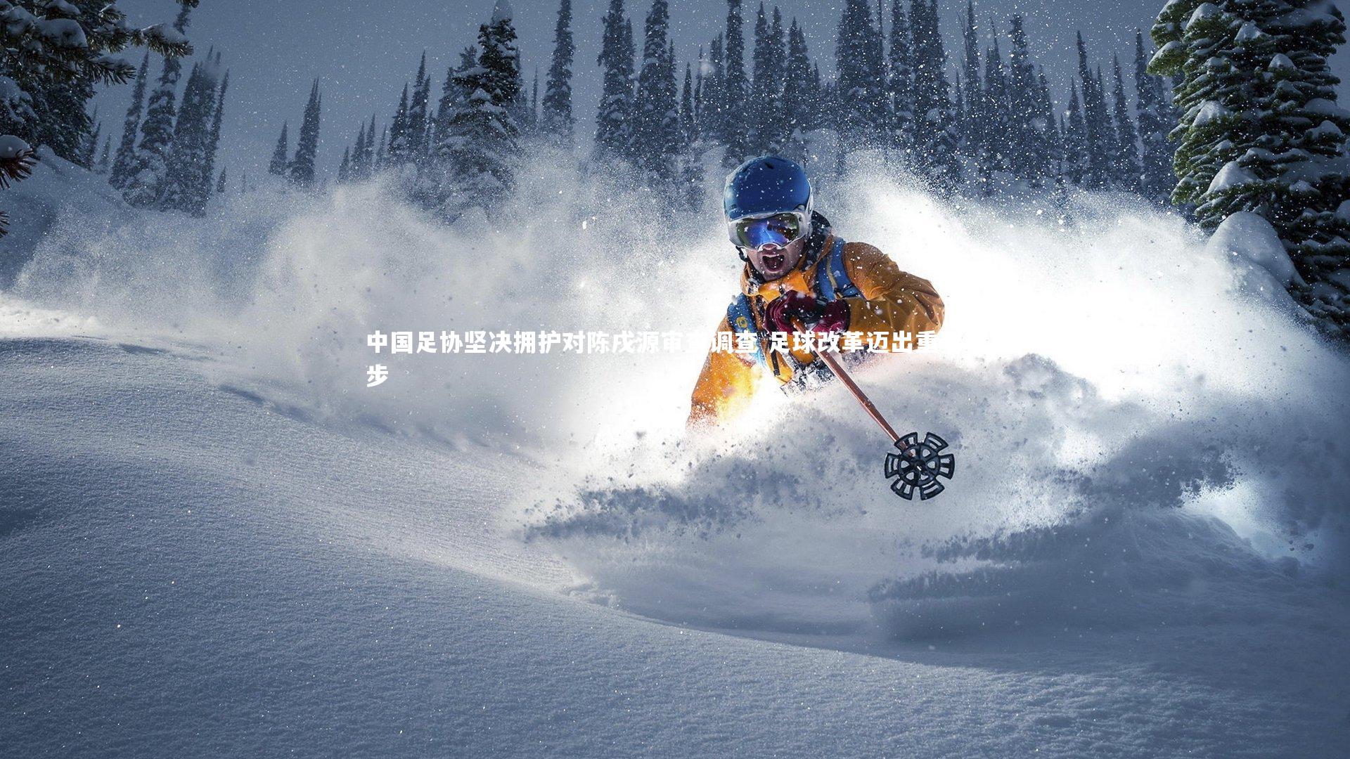 中国足协坚决拥护对陈戌源审查调查 足球改革迈出重要一步