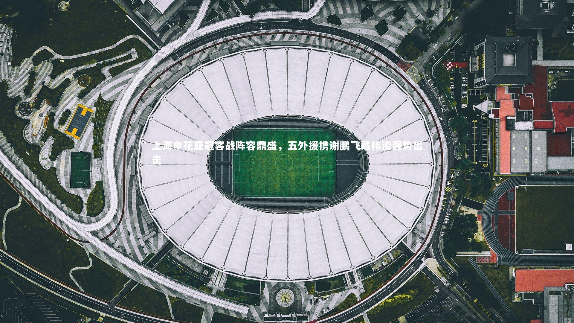 【ng娱乐APP】上海申花亚冠客战阵容鼎盛，五外援携谢鹏飞戴伟浚强势出击